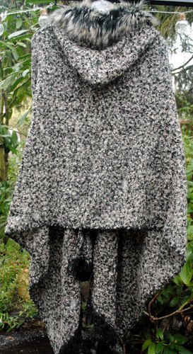 Cartoon poncho mit kapuze - mit,